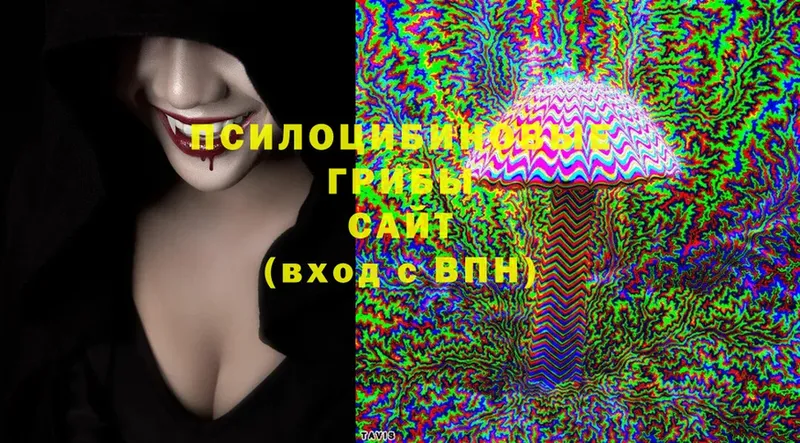 Галлюциногенные грибы Psilocybe  Шахты 